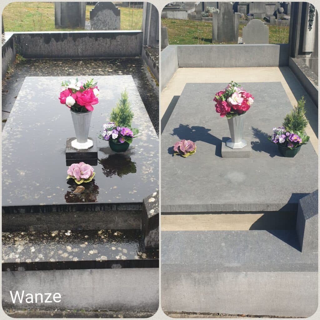 Wanze nettoyage de tombe