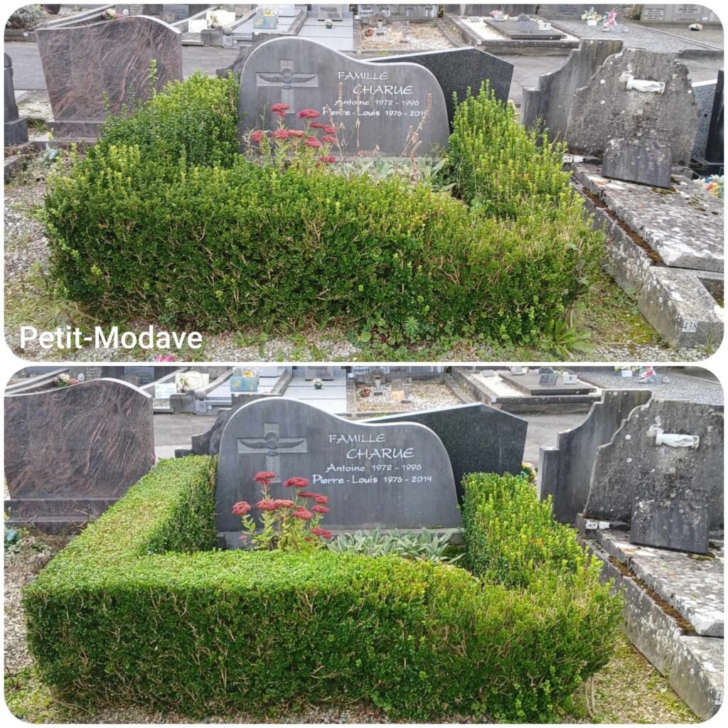 Tombe avec haie soigneusement taillée